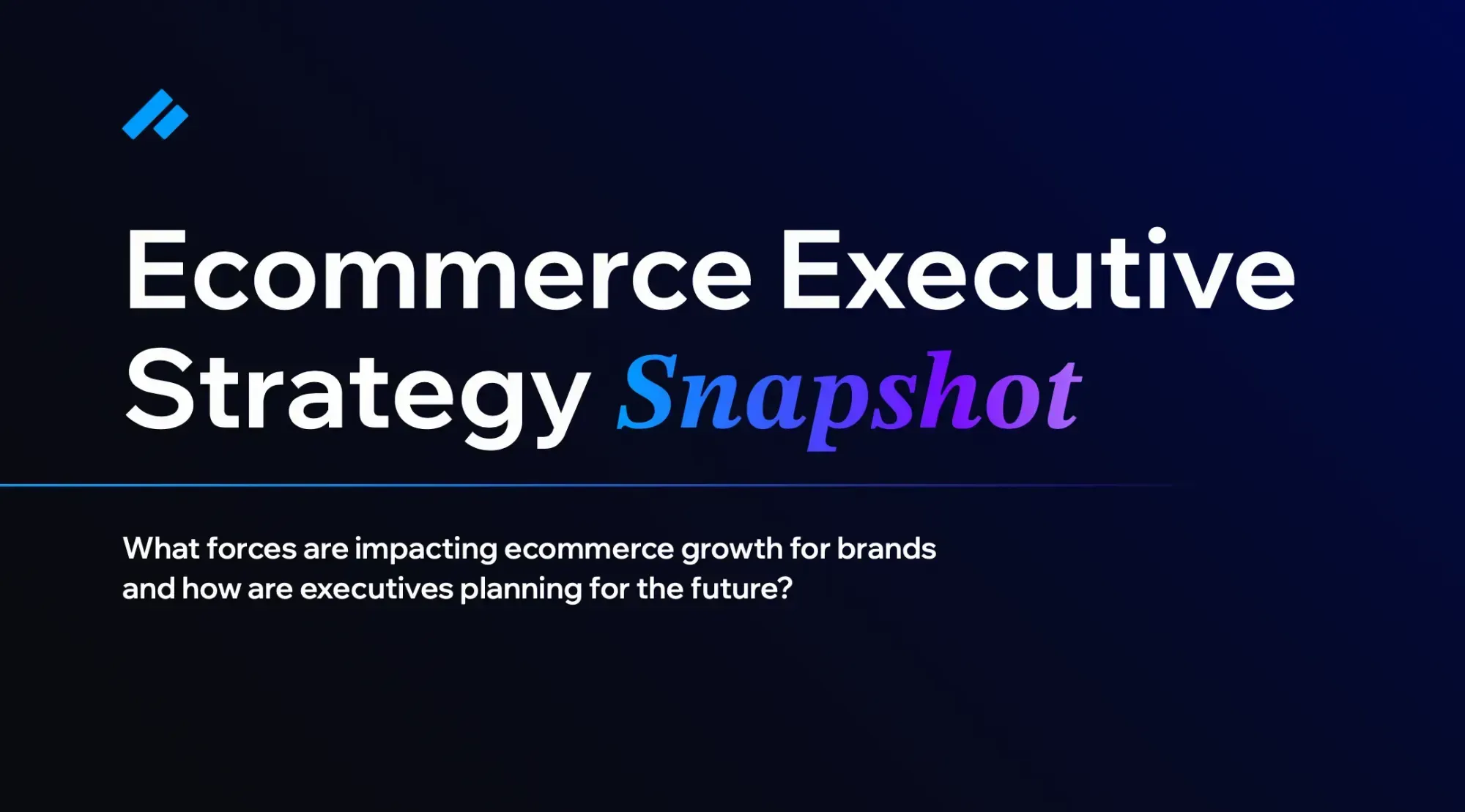 Ecommerce Executive Strategy Snapshot