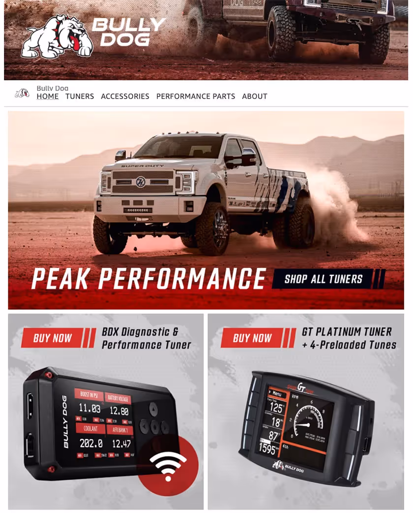 bully dog amazon storefront