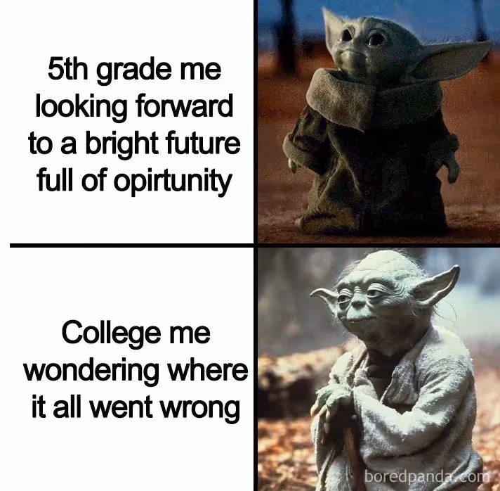 yoda meme