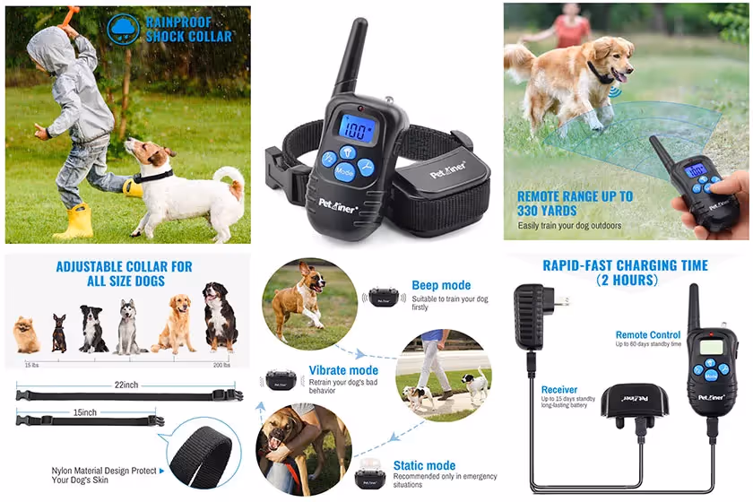 dog training image stack amazon