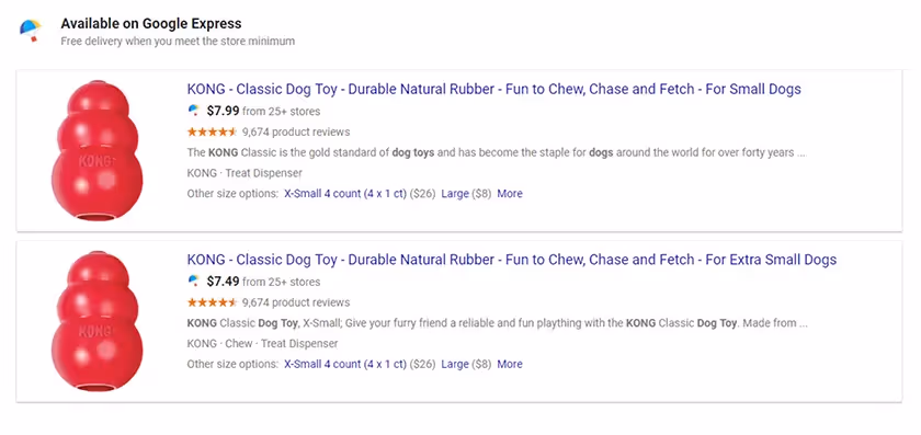 Kong Classic Dog Toy