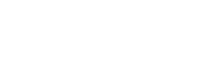 Visa - partner logo
