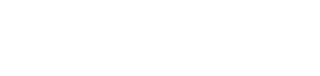 Western Union - partner logo