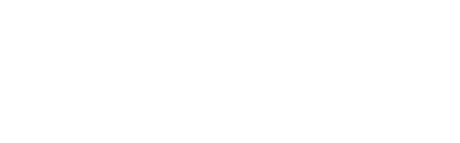 Revolution RE