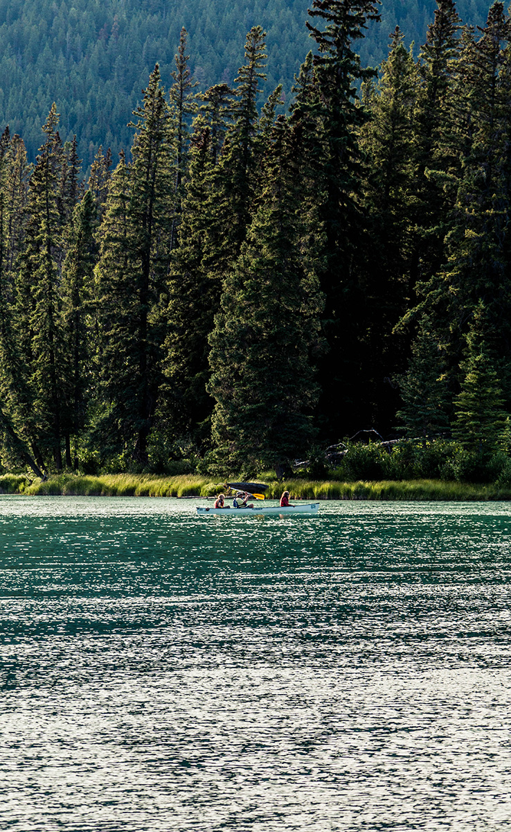 Placeholder :  River with trees and mountains in the background