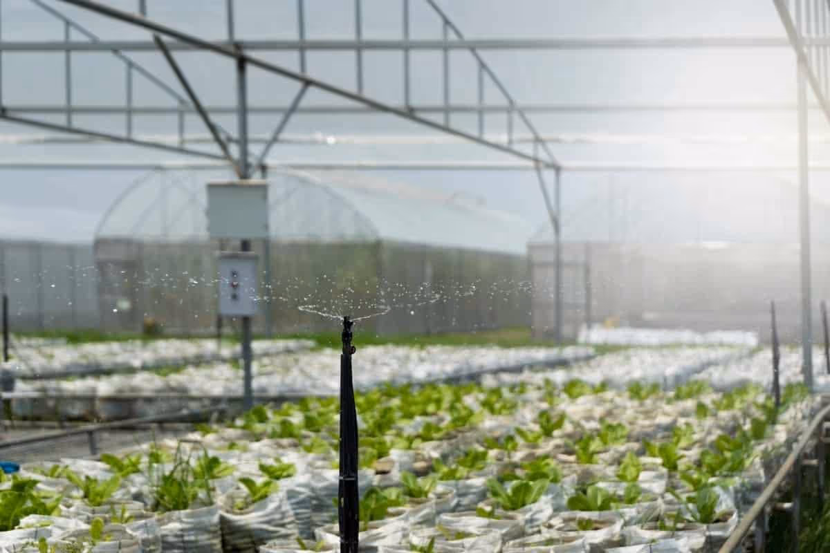 bunarska voda za navodnjavanje - Zitros filteri za vodu