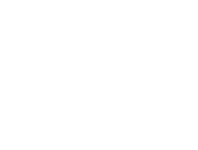 Tesla company logo with the stylized T above the Tesla wordmark.