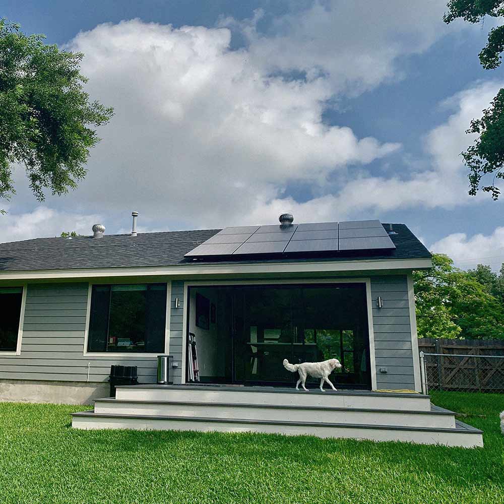 White dog walking on the steps of a gray house with solar panels on the roof and a green lawn in front.