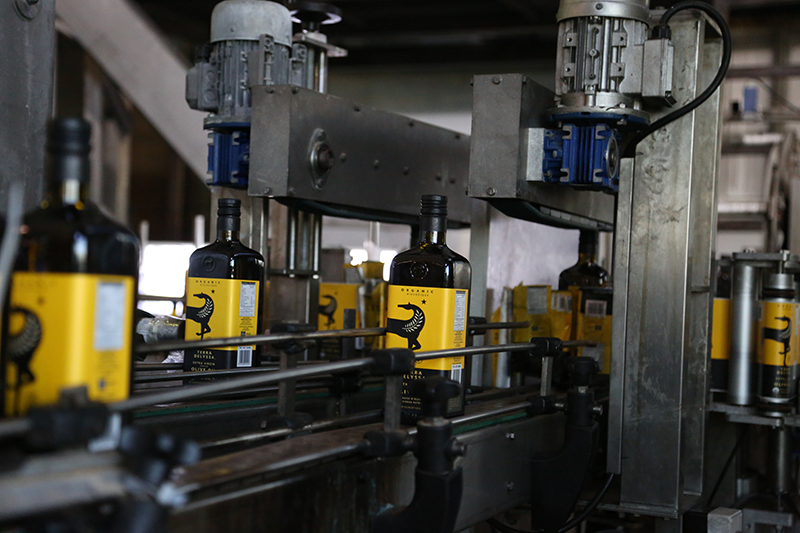 QUESTIONS COURANTES SUR LE STOCKAGE DE L'HUILE D'OLIVE | TERRA DELYSSA US