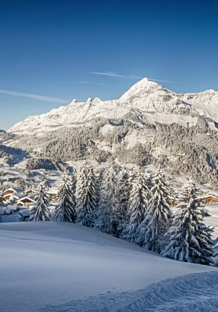 HostnFly Conciergerie Crest-Voland