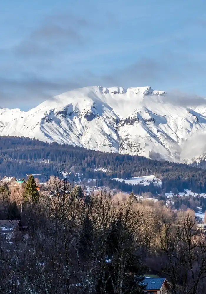HostnFly Conciergerie Demi-Quartier