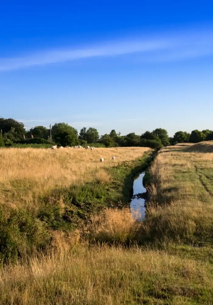 HostnFly Conciergerie La Grande-Motte
