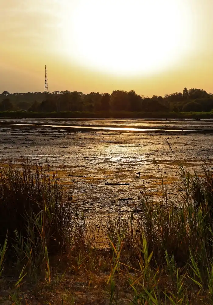 HostnFly Conciergerie La Teste-de-Buch