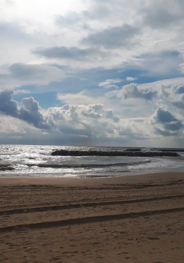 HostnFly Conciergerie Lattes