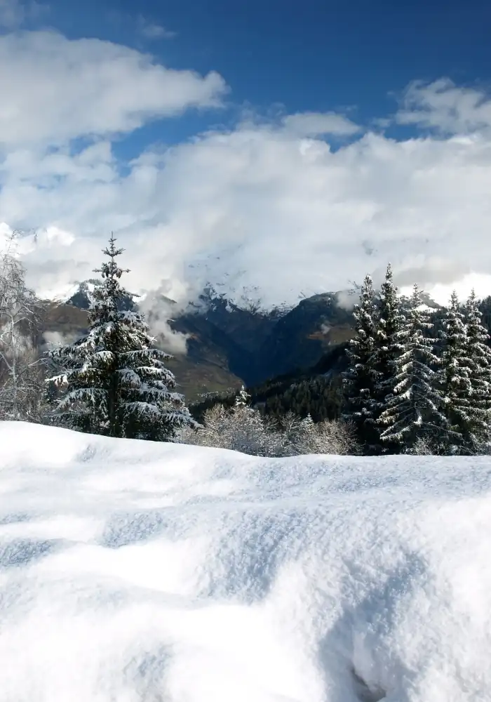 HostnFly Conciergerie Les Arcs