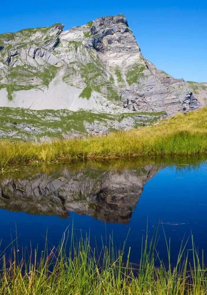 HostnFly Conciergerie Le Teich
