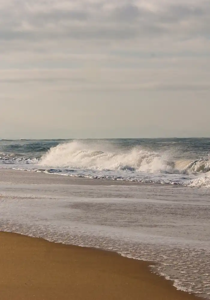 HostnFly Conciergerie Seignosse