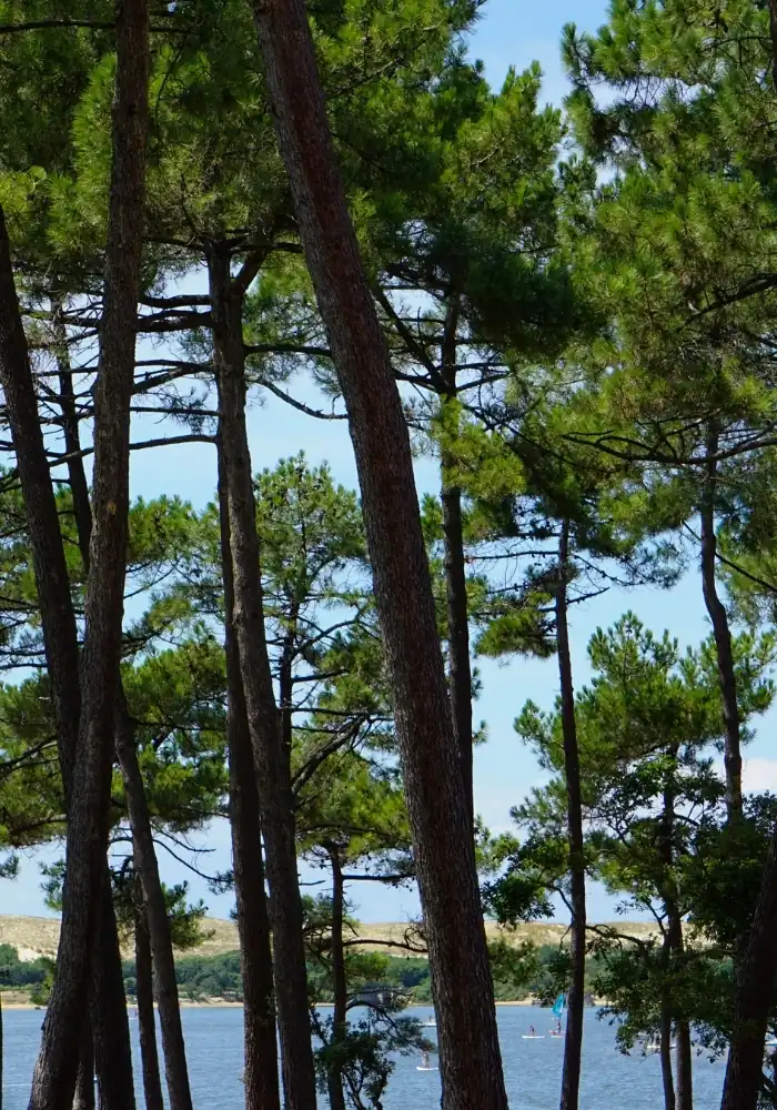 HostnFly Conciergerie Soustons