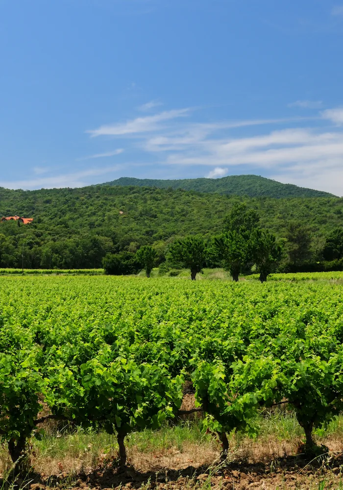 HostnFly Conciergerie Vidauban