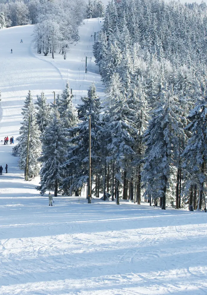 HostnFly Conciergerie Châtel