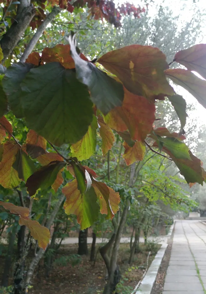 HostnFly Conciergerie Seynod