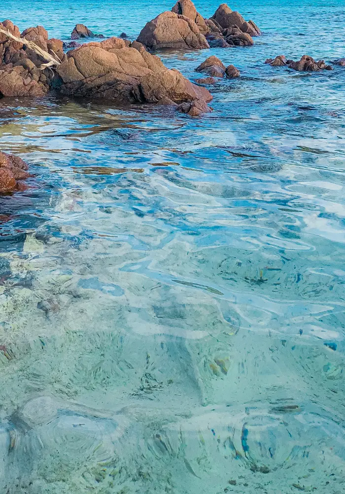 HostnFly Conciergerie Pietrosella