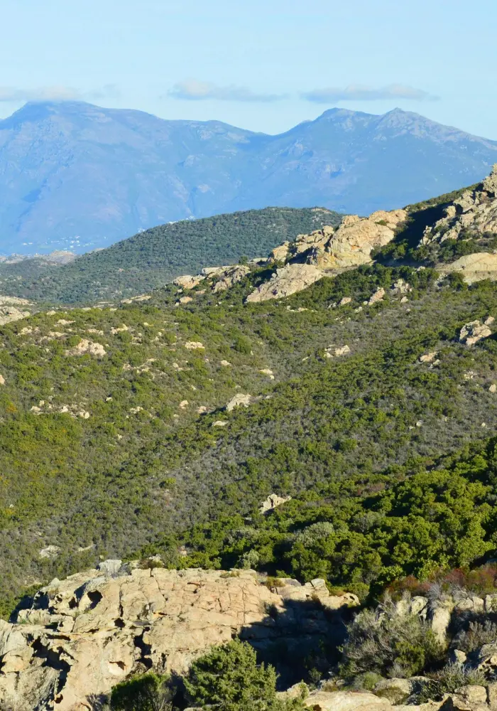 HostnFly Conciergerie Sarrola-Carcopino