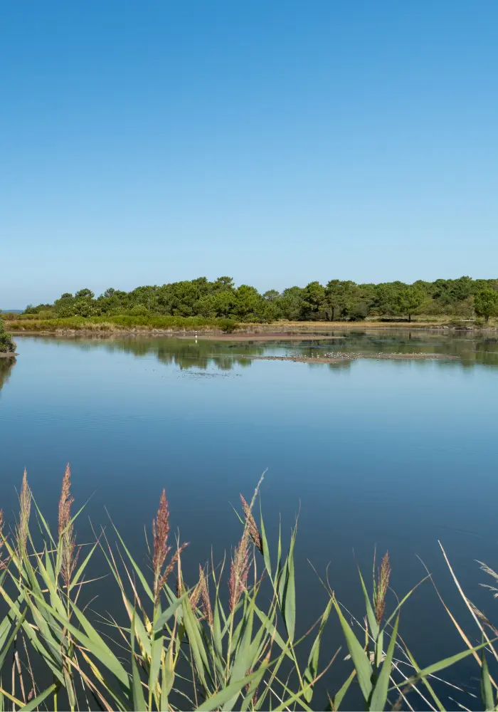 HostnFly Conciergerie Lanton