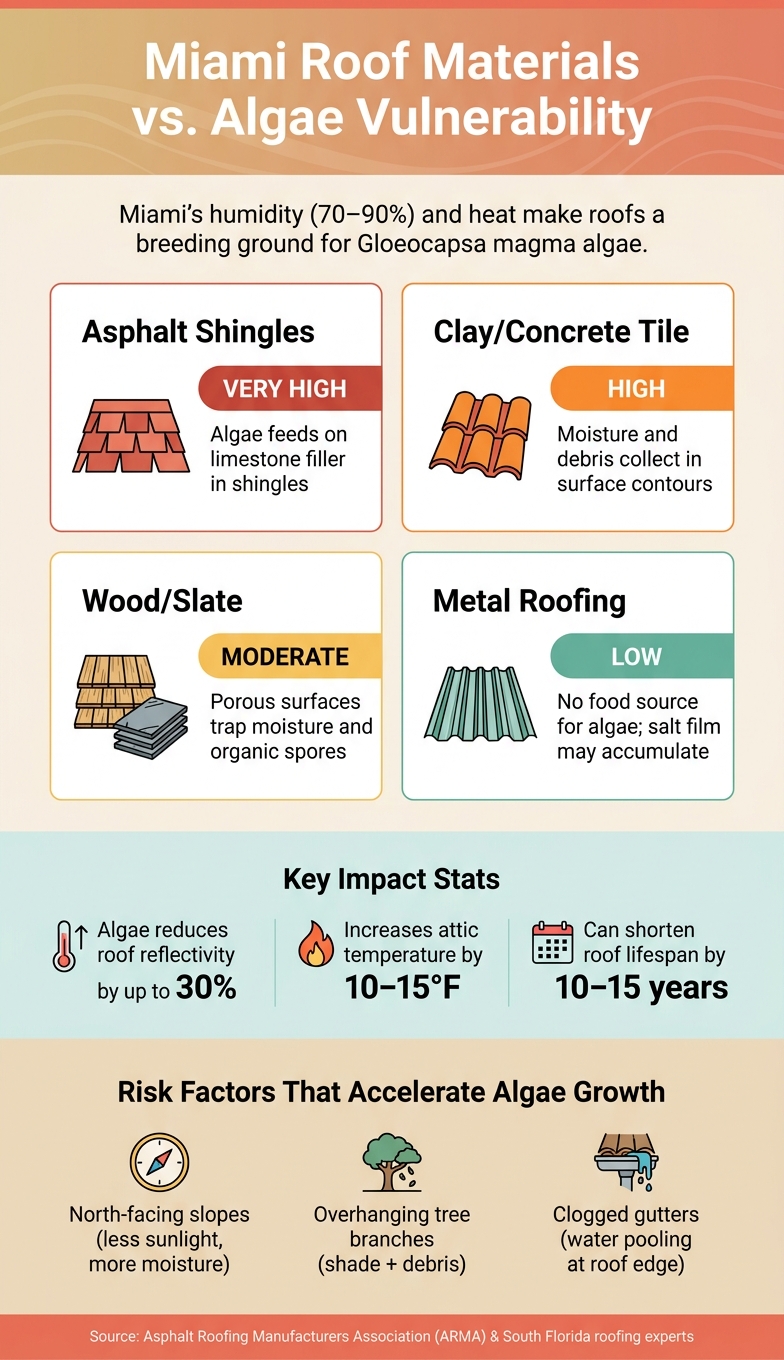 Miami Roof Materials vs. Algae Vulnerability: What You Need to Know