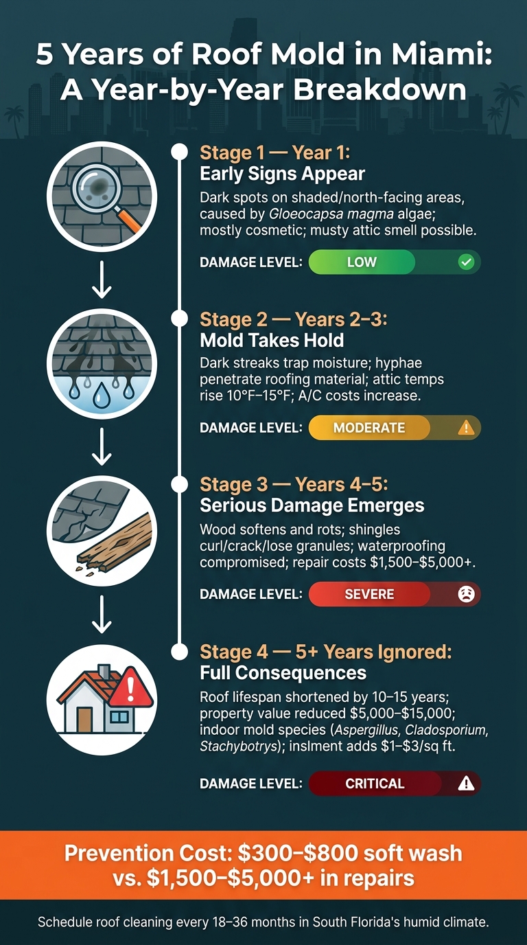 5 Years of Roof Mold in Miami: A Year-by-Year Breakdown