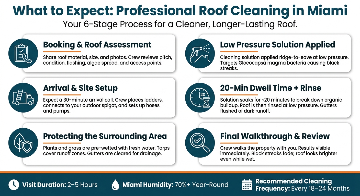 What to Expect: Professional Roof Cleaning in Miami Step by Step