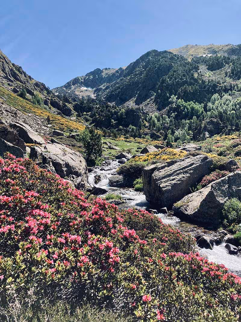 incles valley walk with surrounding nature