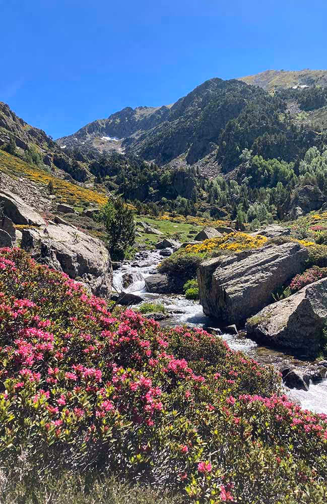 incles valley walk with surrounding nature