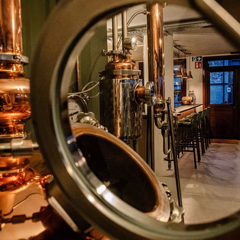 view through the bar with the gin still
