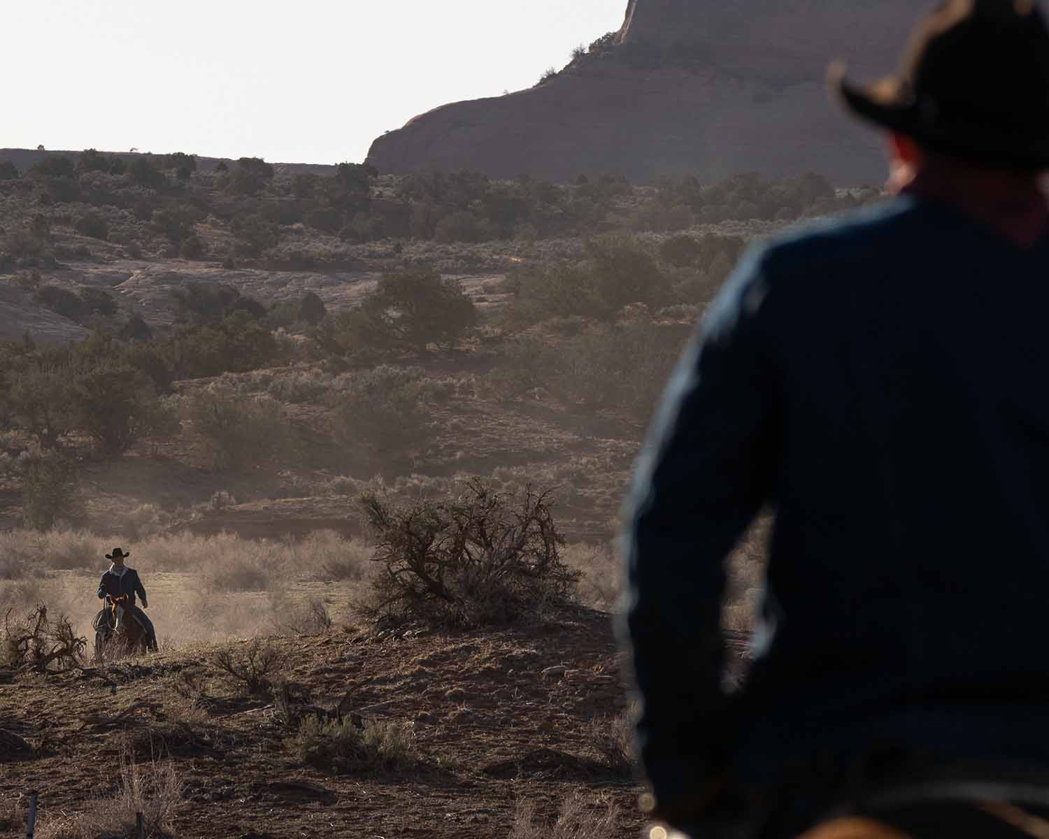 image of sustainable agriculture