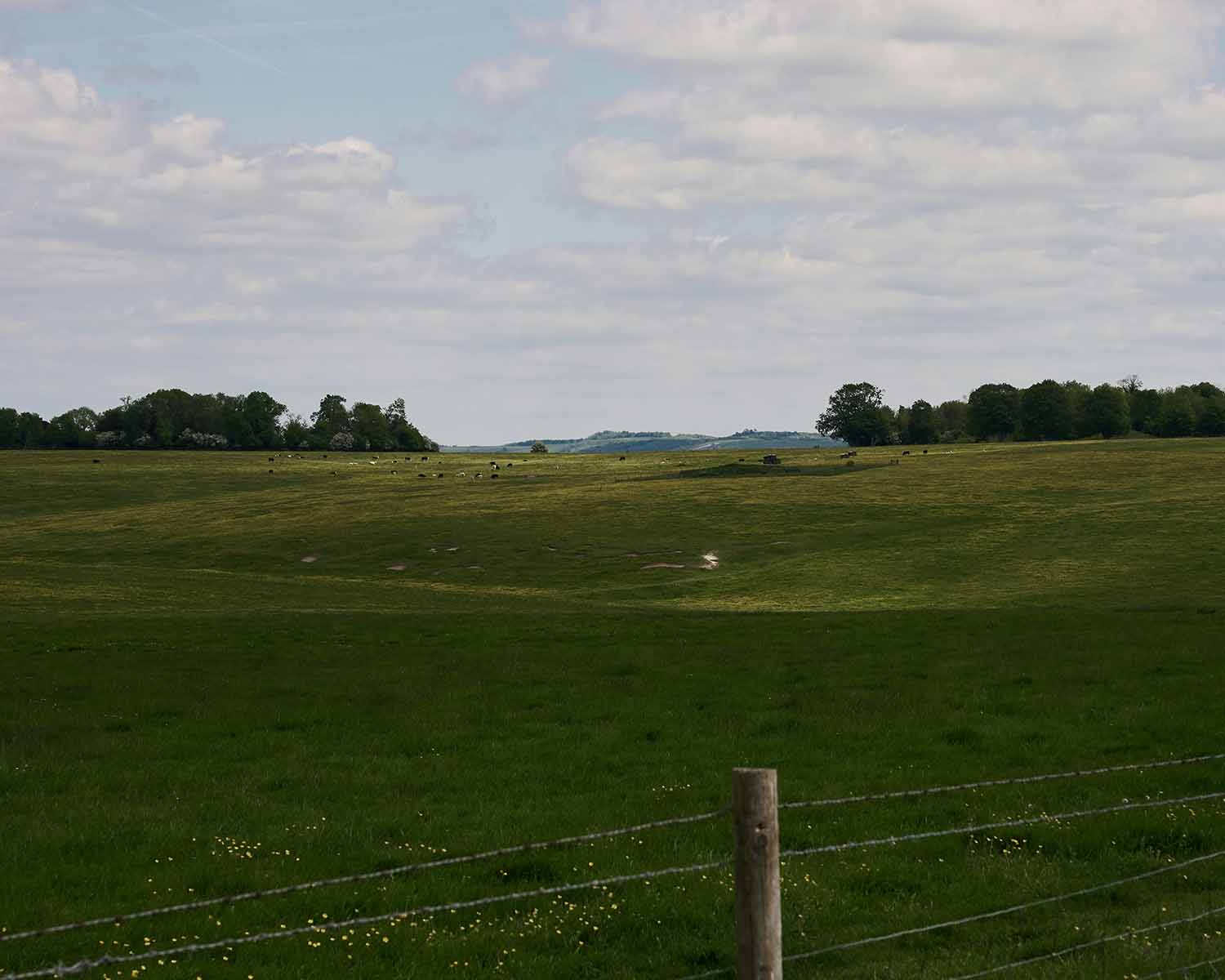 image of sustainable agriculture