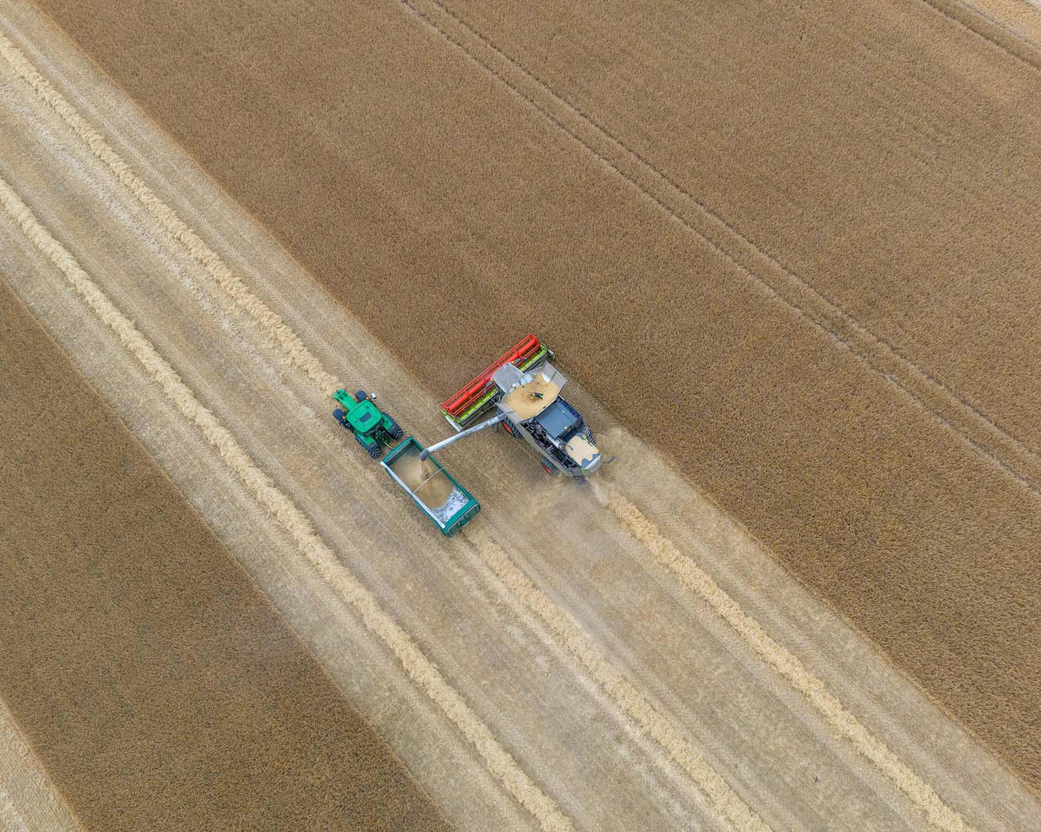 image of sustainable agriculture