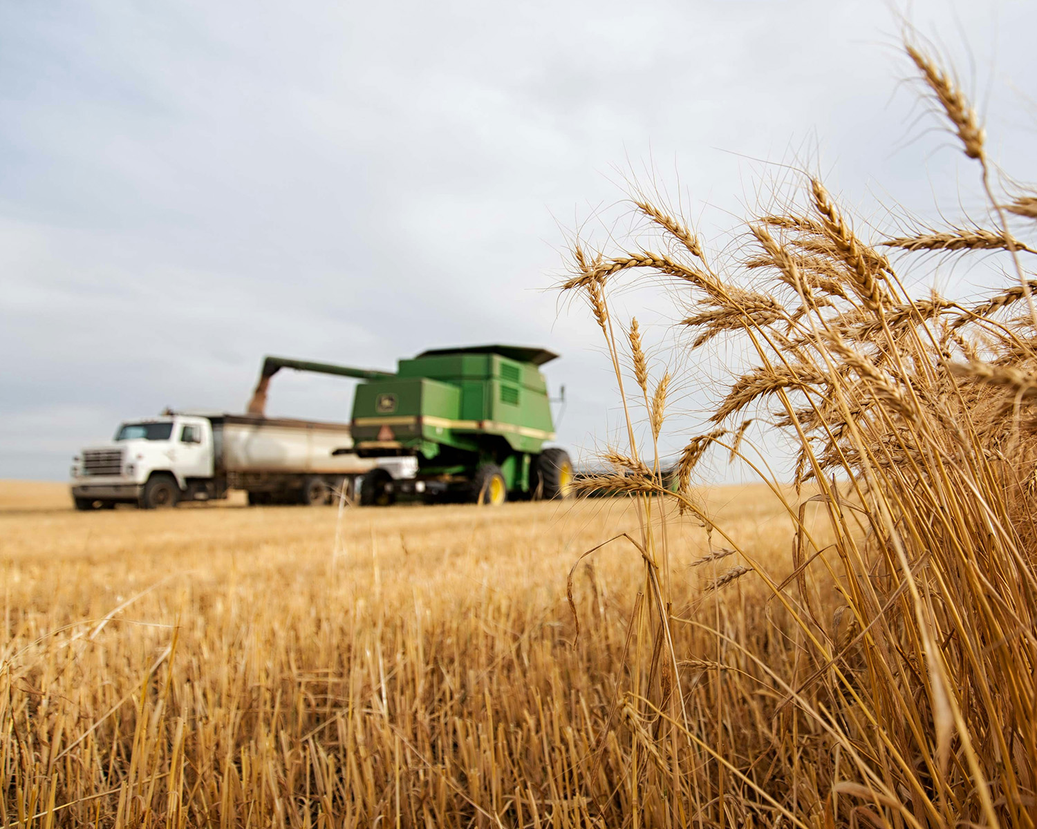 image of sustainable agriculture