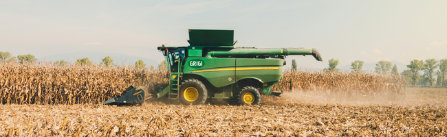 image of sustainable agriculture