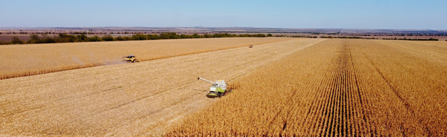 image of sustainable agriculture