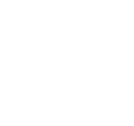 LinkedIn logo icon.