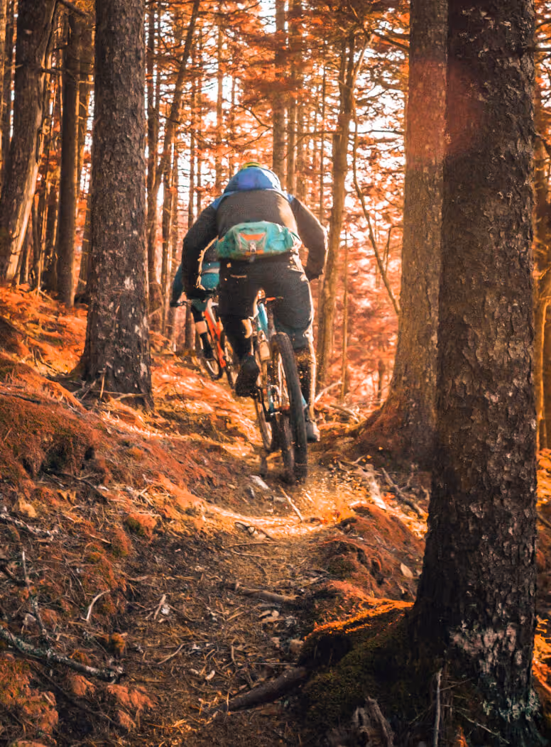 Mountain Bike - Rental X Webflow Template