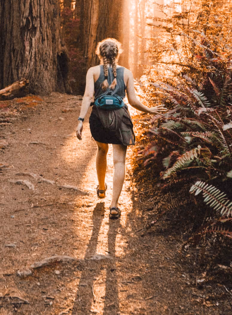 Hiking - Rental X Webflow Template