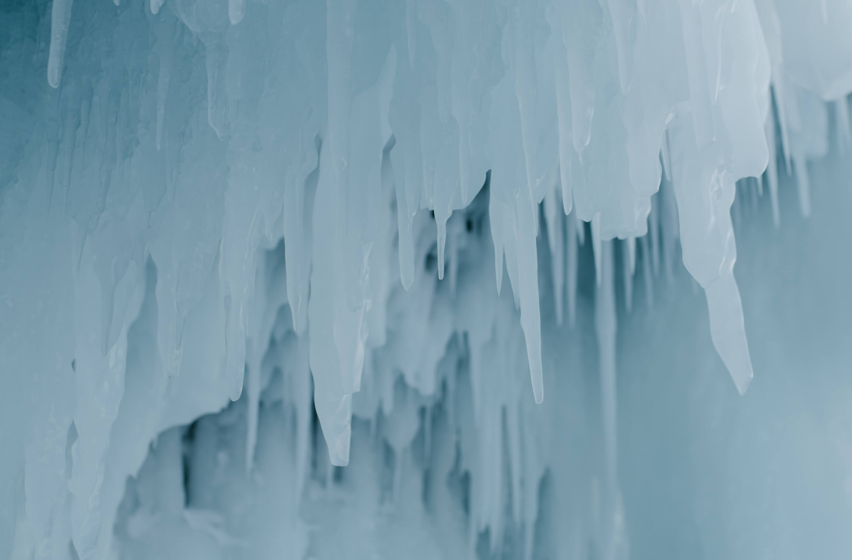 From Loneliness to Belonging