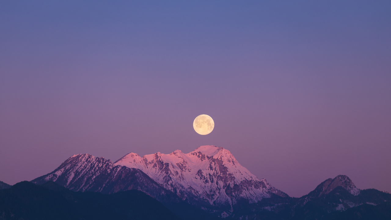 This Night: A Special Supplement for Your Passover Seder