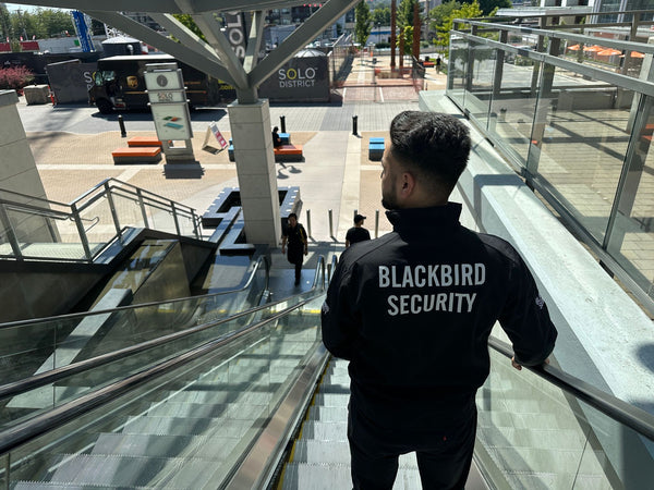 Mall security guards ensuring retail security on Lunar New Year in Toronto.