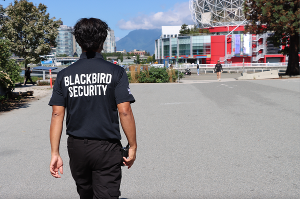 Theft Prevention Through Environmental Design