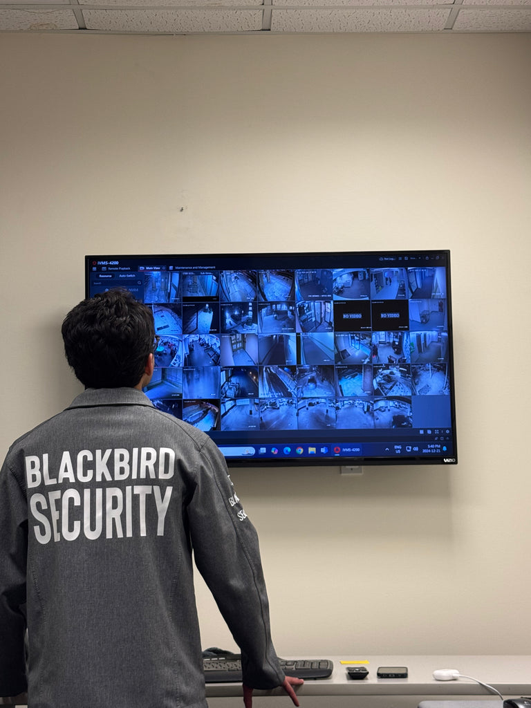 A security guard stands with his back to the camera monitoring a CCTV feed on the wall