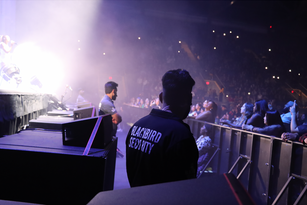 Two Blackbird Security event security guards shot in profile stand facing away from a concert stage, towards the crowd of fans in front. They are lit with purple light and are visibly scanning the crowd.