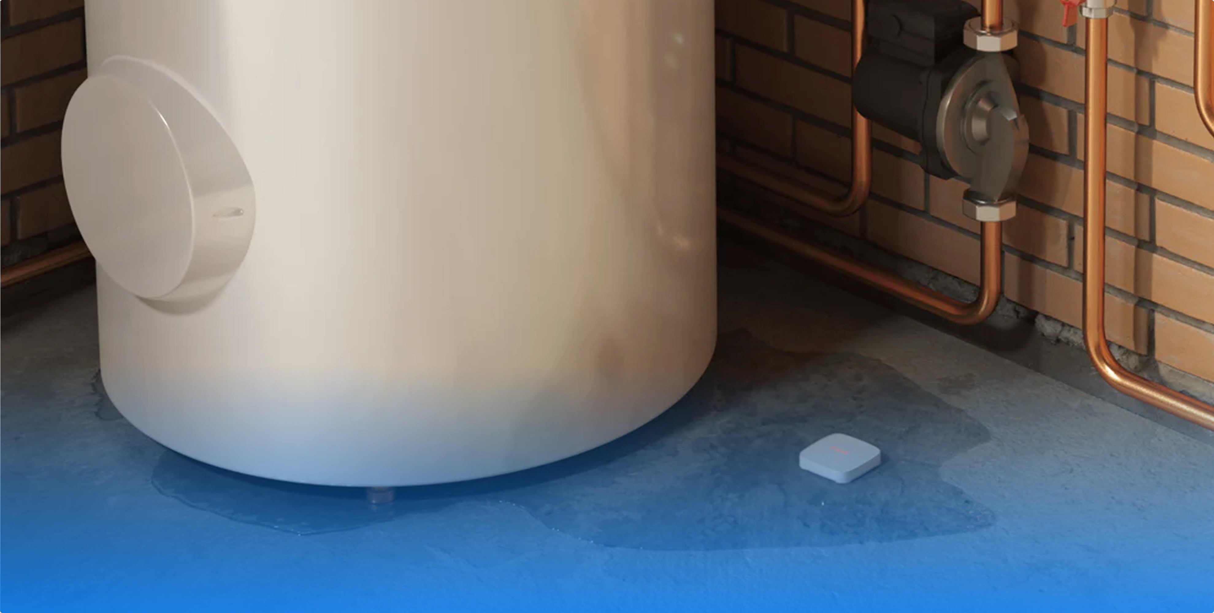 Blackbird tech water leak sensor